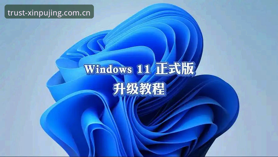 新浦京怎么下载教程 新浦京体育平台v2.9.5最新动态:全新下载教程与体验升级全解析